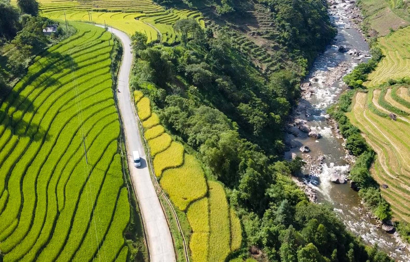 lua chin y ty anh 39