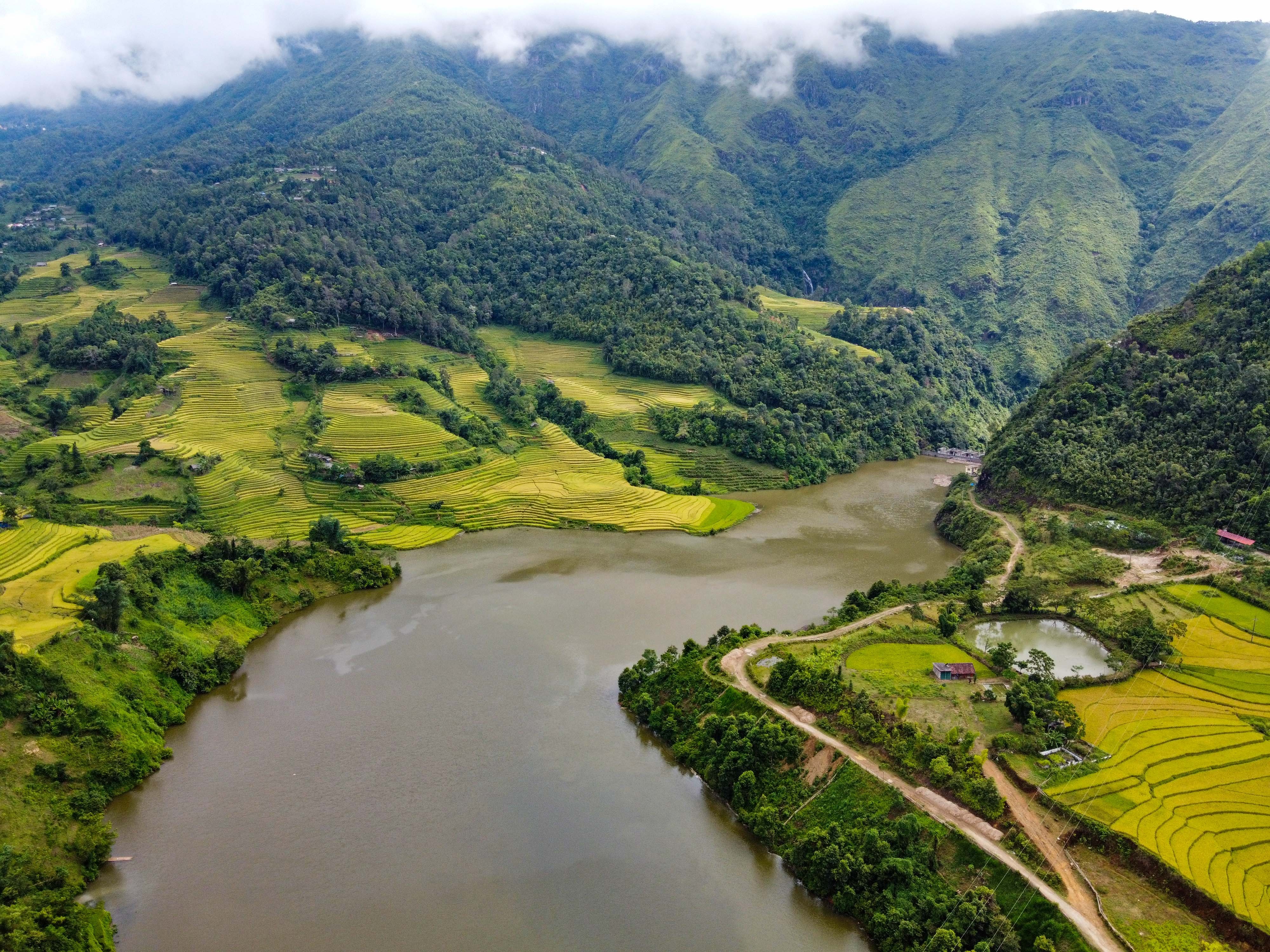 lua chin y ty anh 34