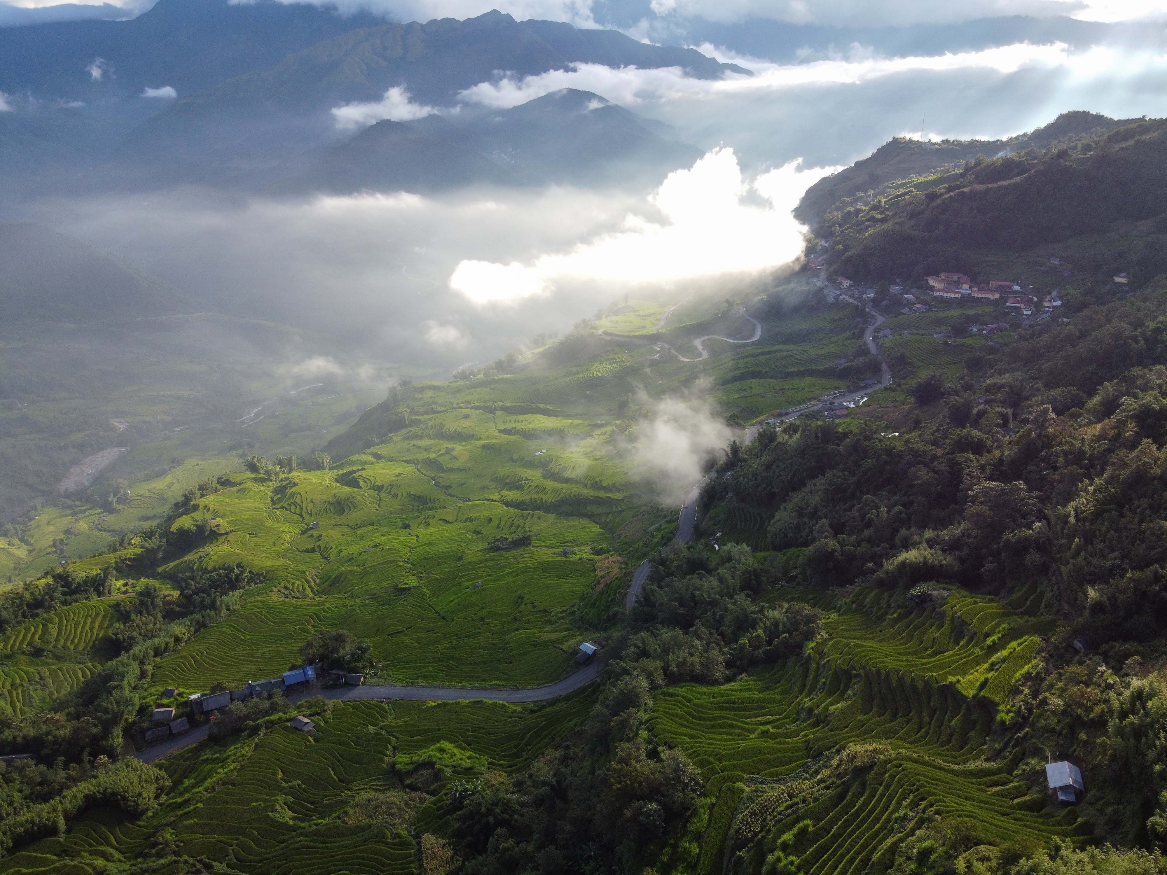 lua chin y ty anh 40