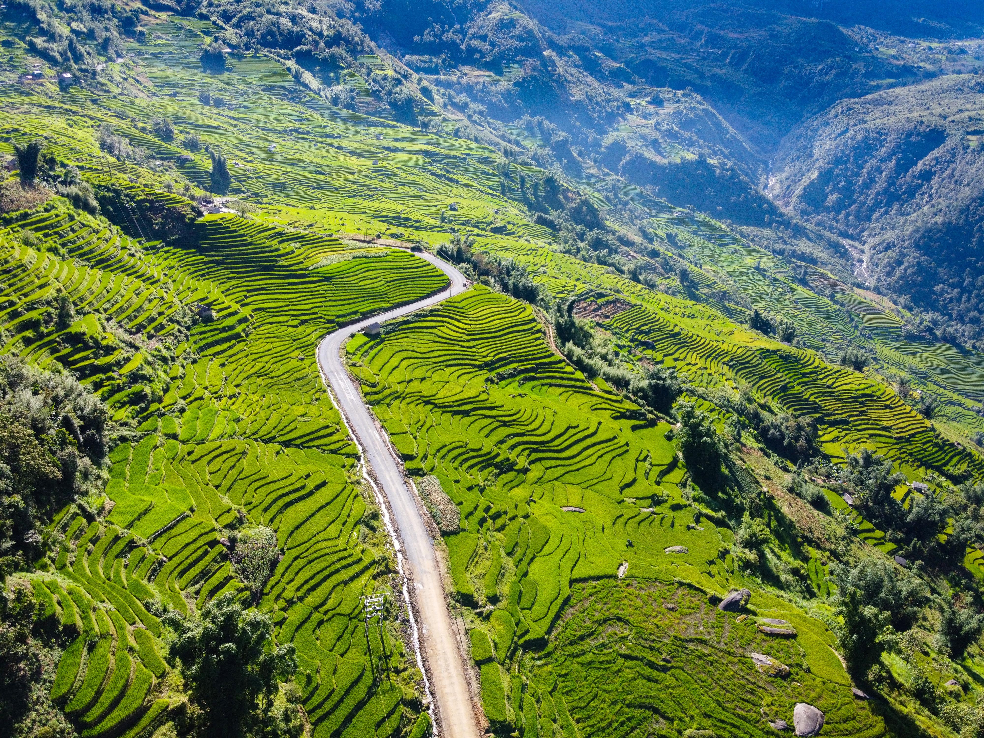 lua chin y ty anh 30