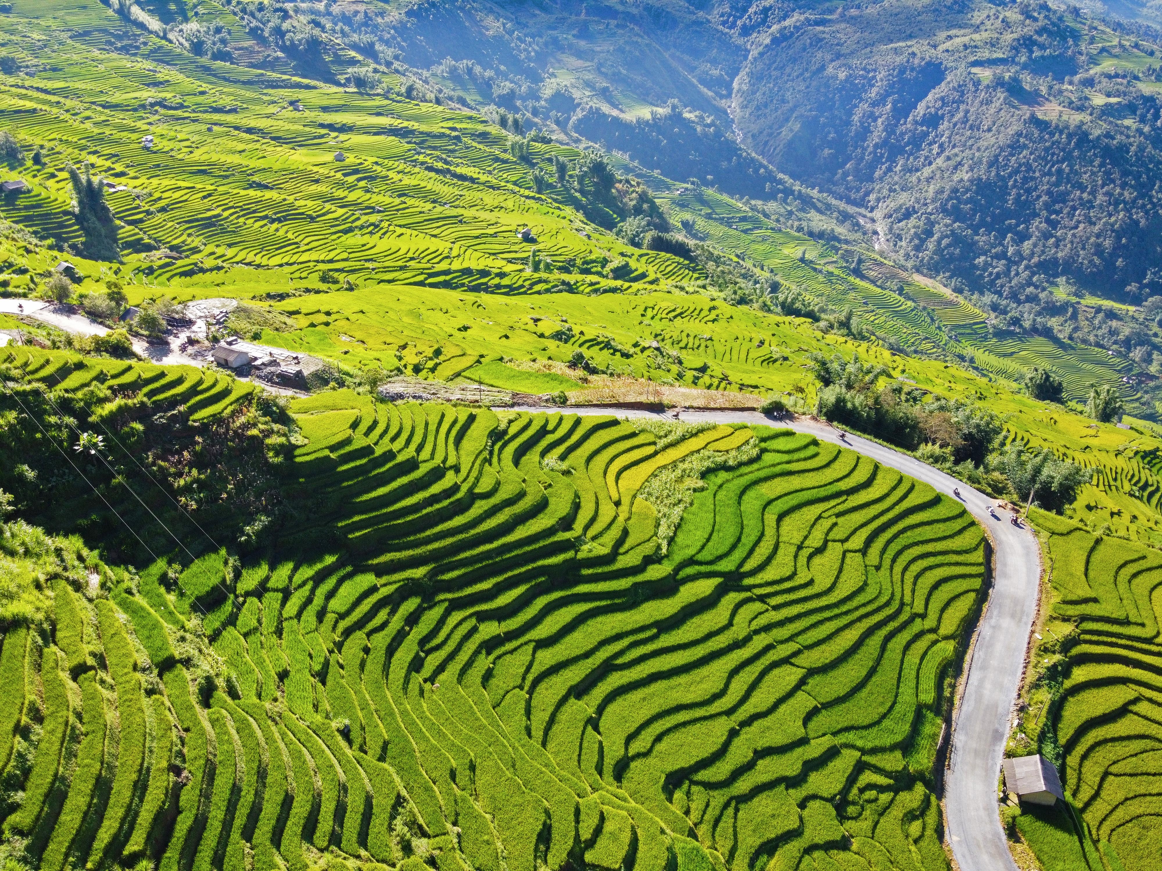 lua chin y ty anh 28