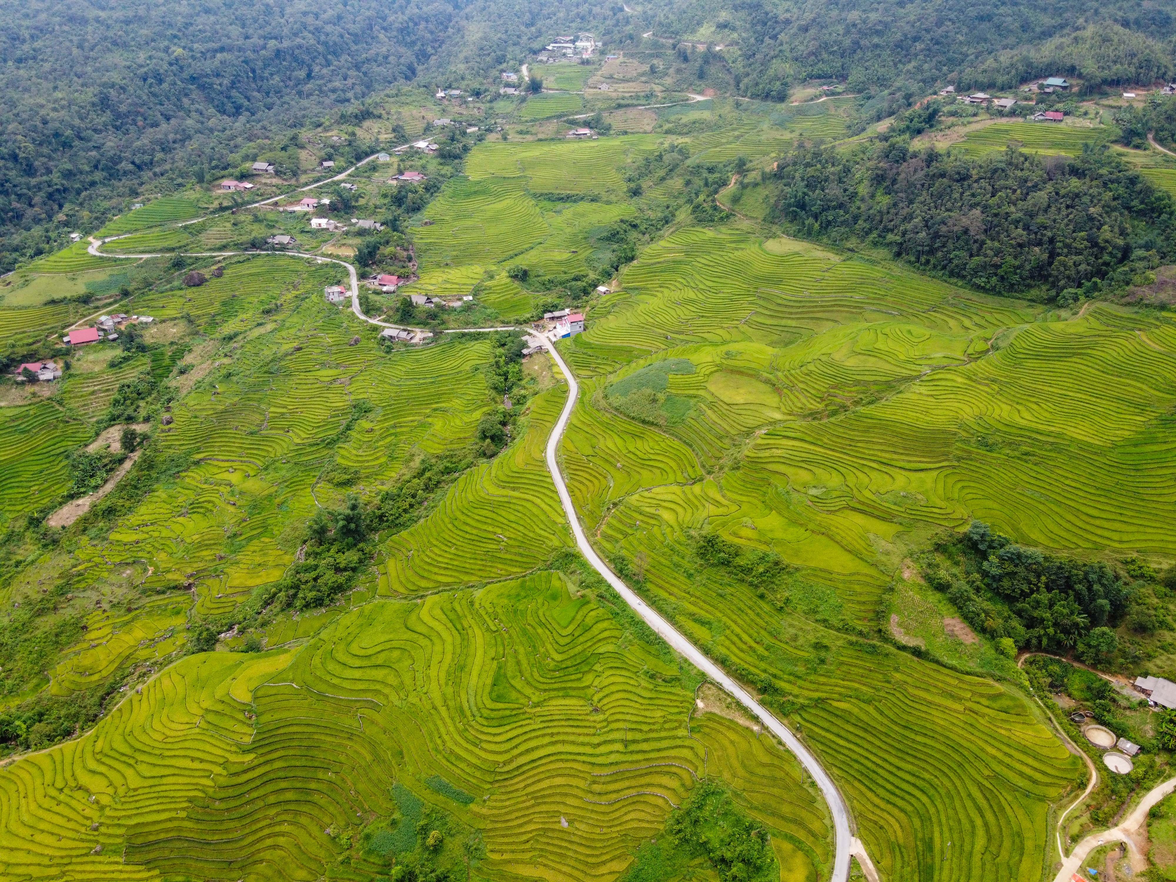 lua chin y ty anh 37