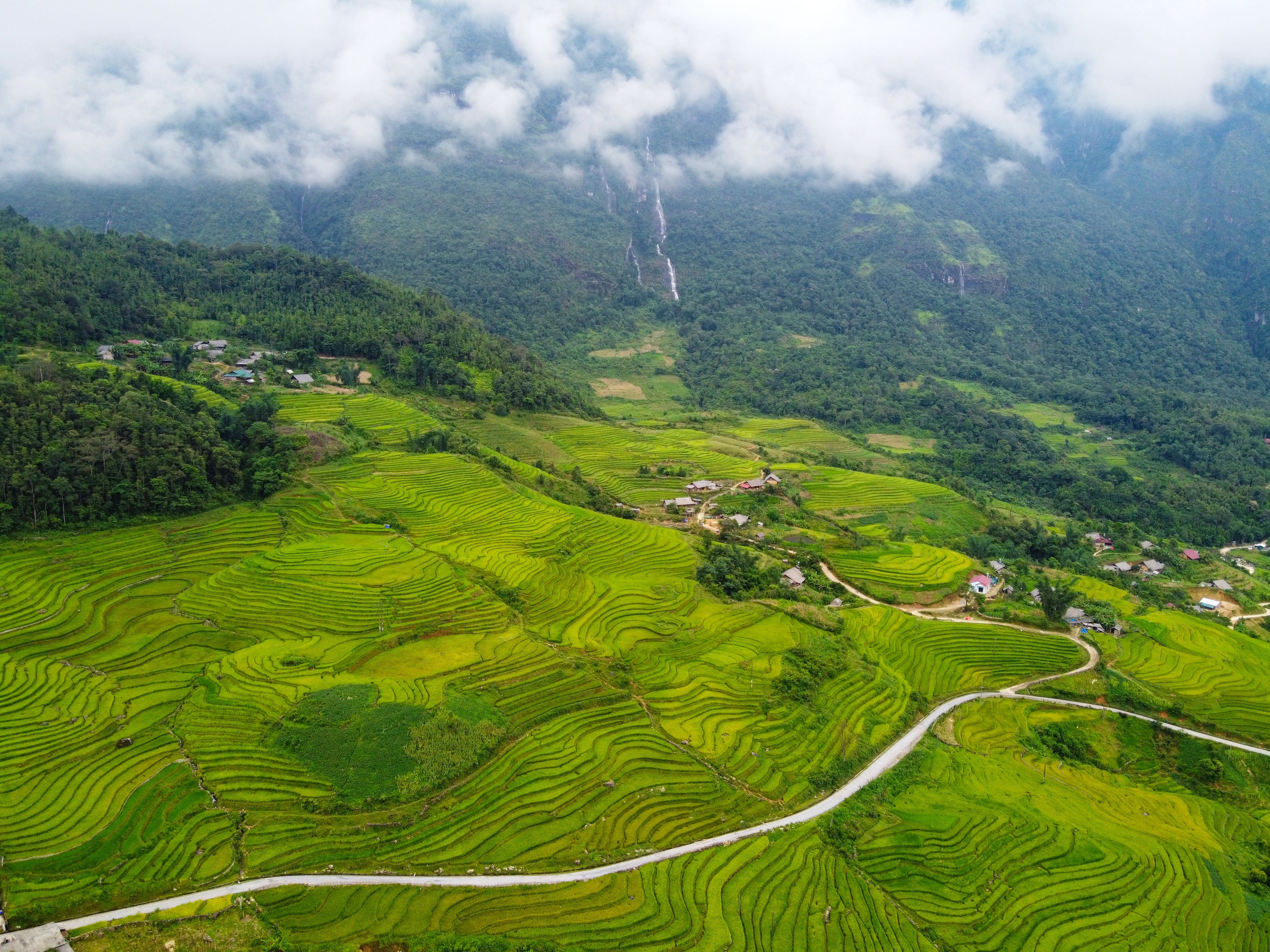 lua chin y ty anh 38