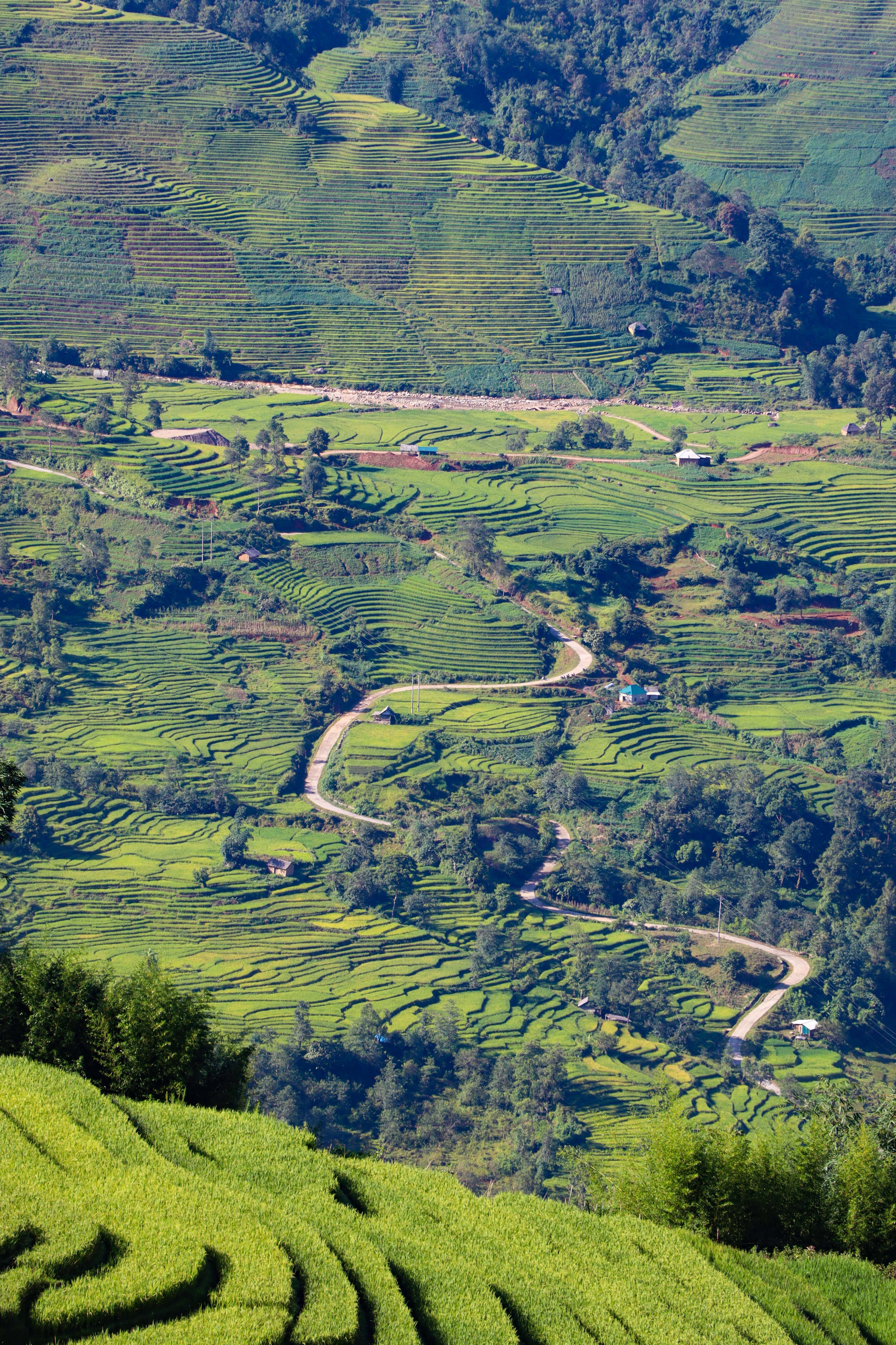 lua chin y ty anh 29