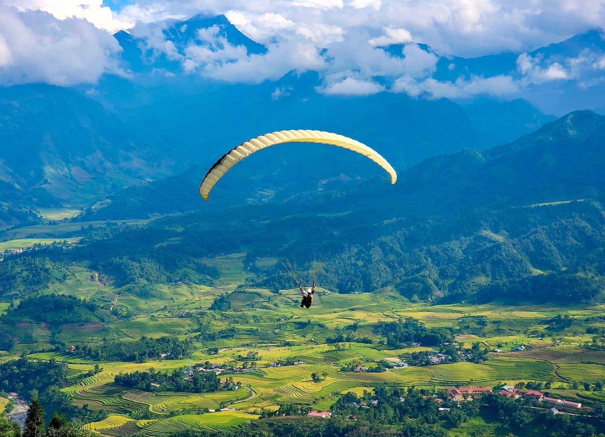 lua chin y ty anh 19