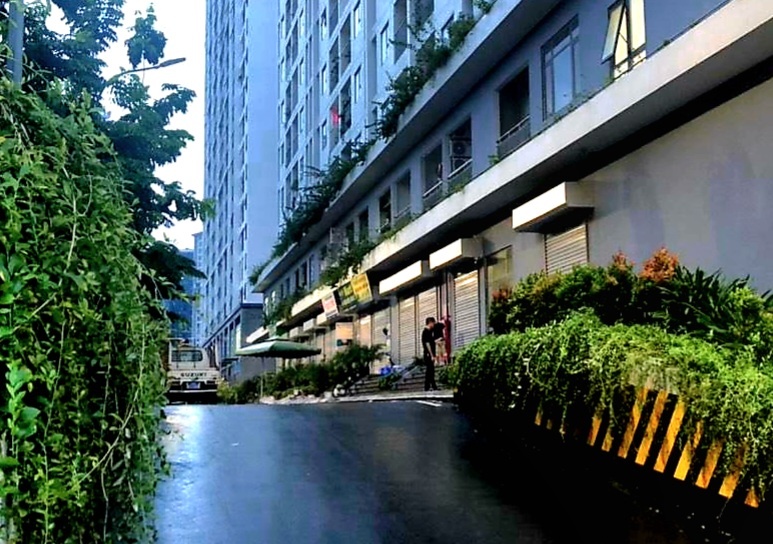 Nguoi dan ong roi tu tang 31 chung cu hinh anh