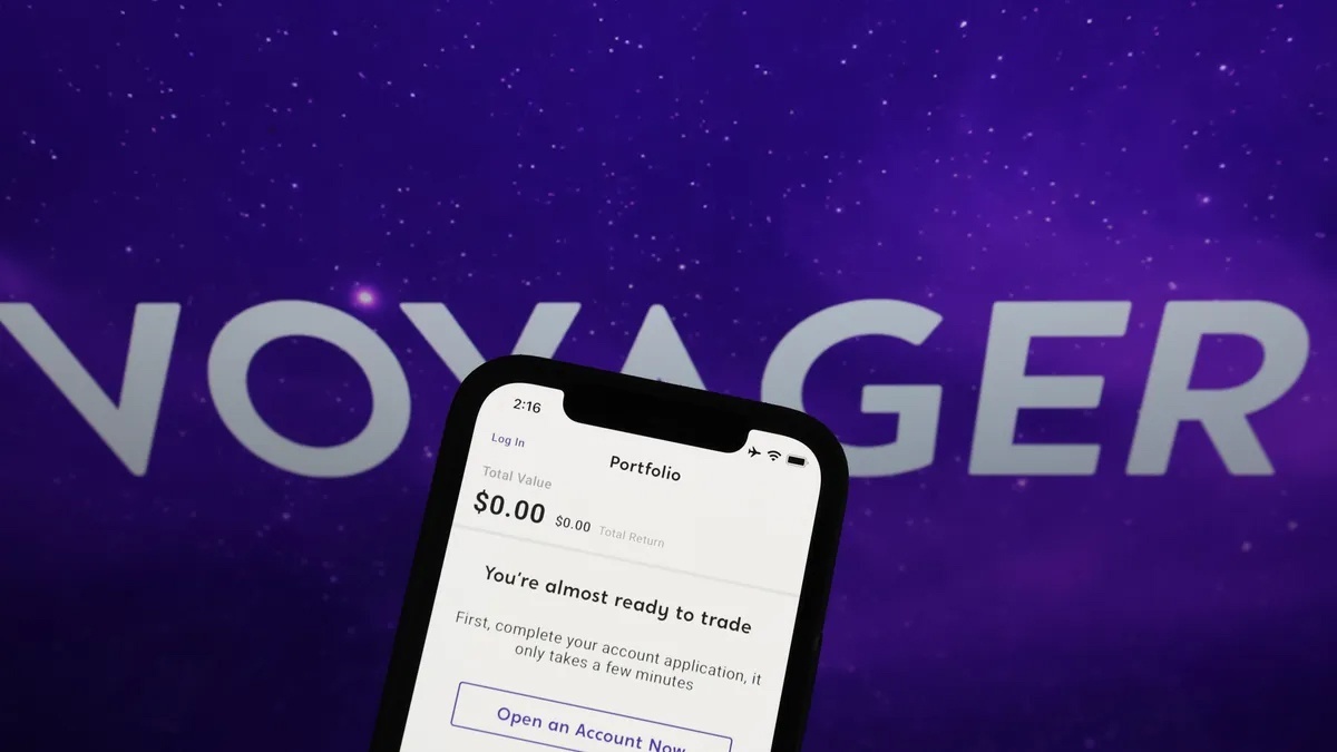 Dai bieu lo ngai toi pham rua tien, tai tro khung bo bang tien ao hinh anh