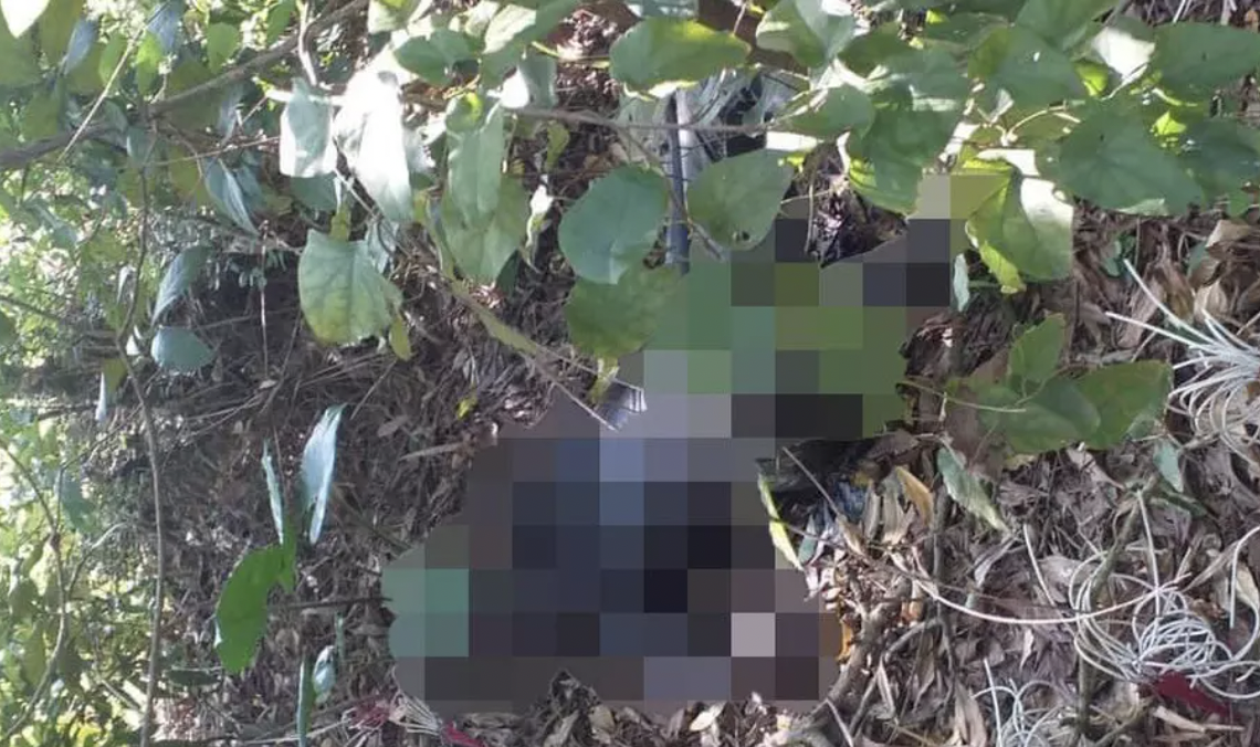 Di bat ong, nguoi dan phat hien thi the phan huy trong bui cay hinh anh