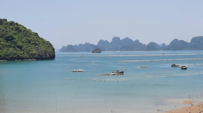 Thi the me va con trai 14 thang ket trong khoang tau dam o Van Don hinh anh