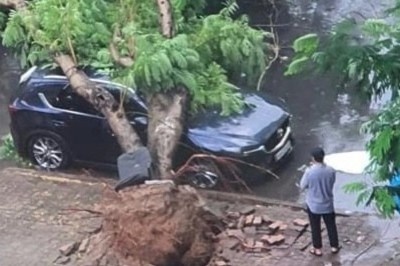 Mua lon, cay do de 2 oto o Ha Noi hinh anh