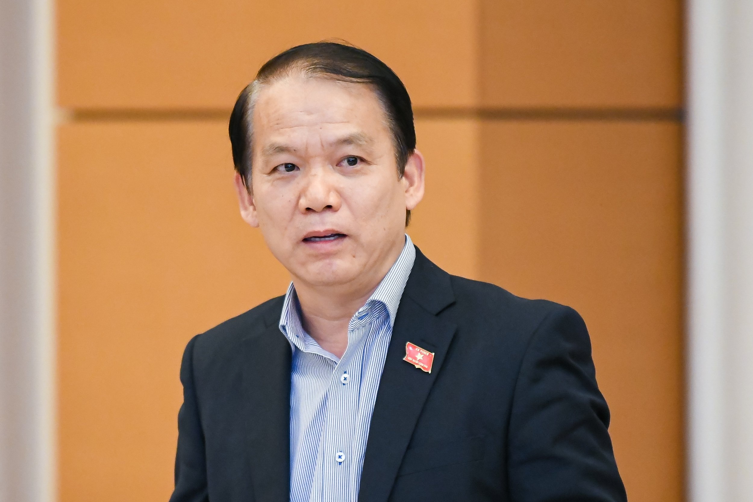 dau gia bien so anh 2