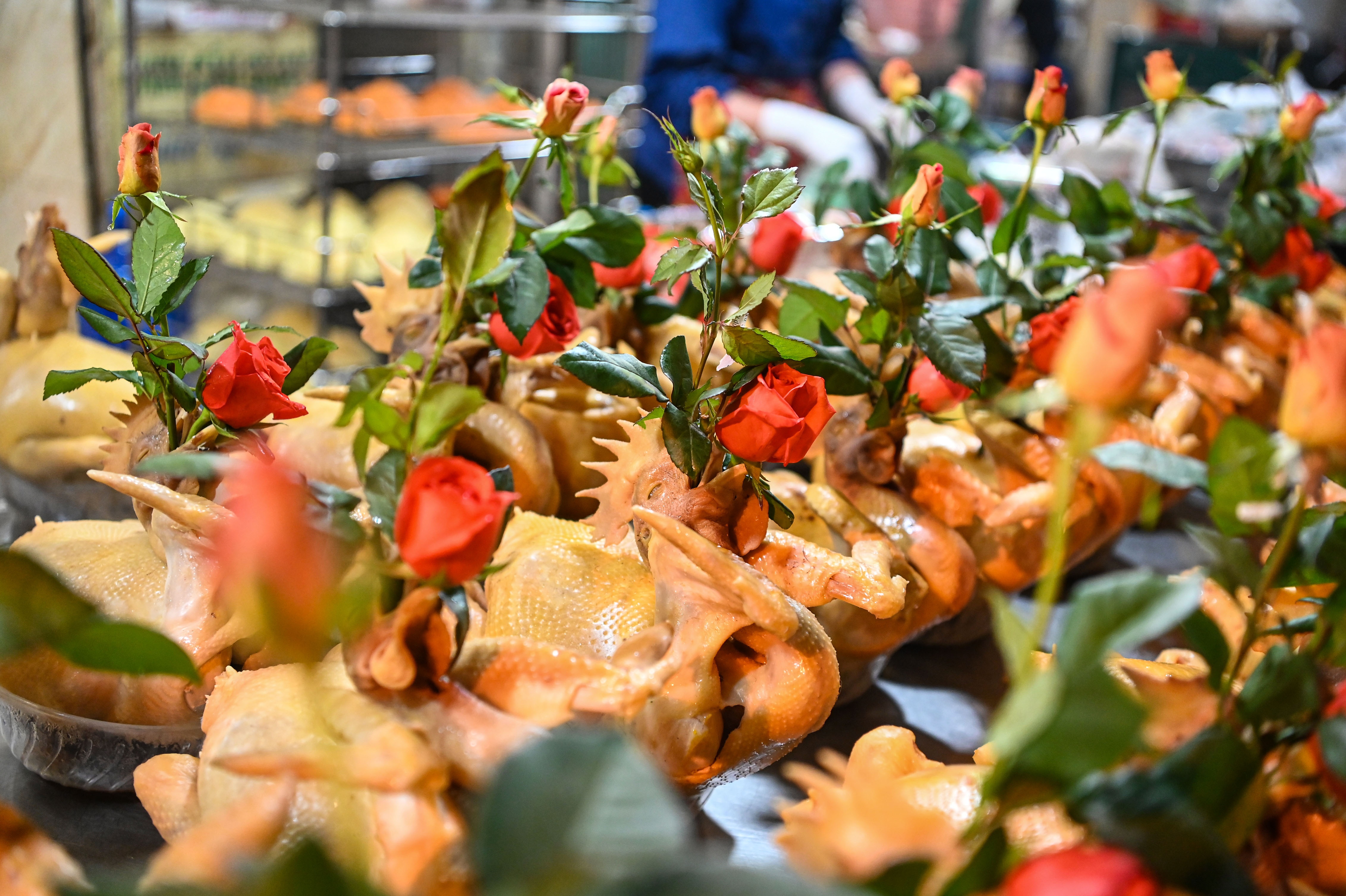 cho tet hang be anh 5