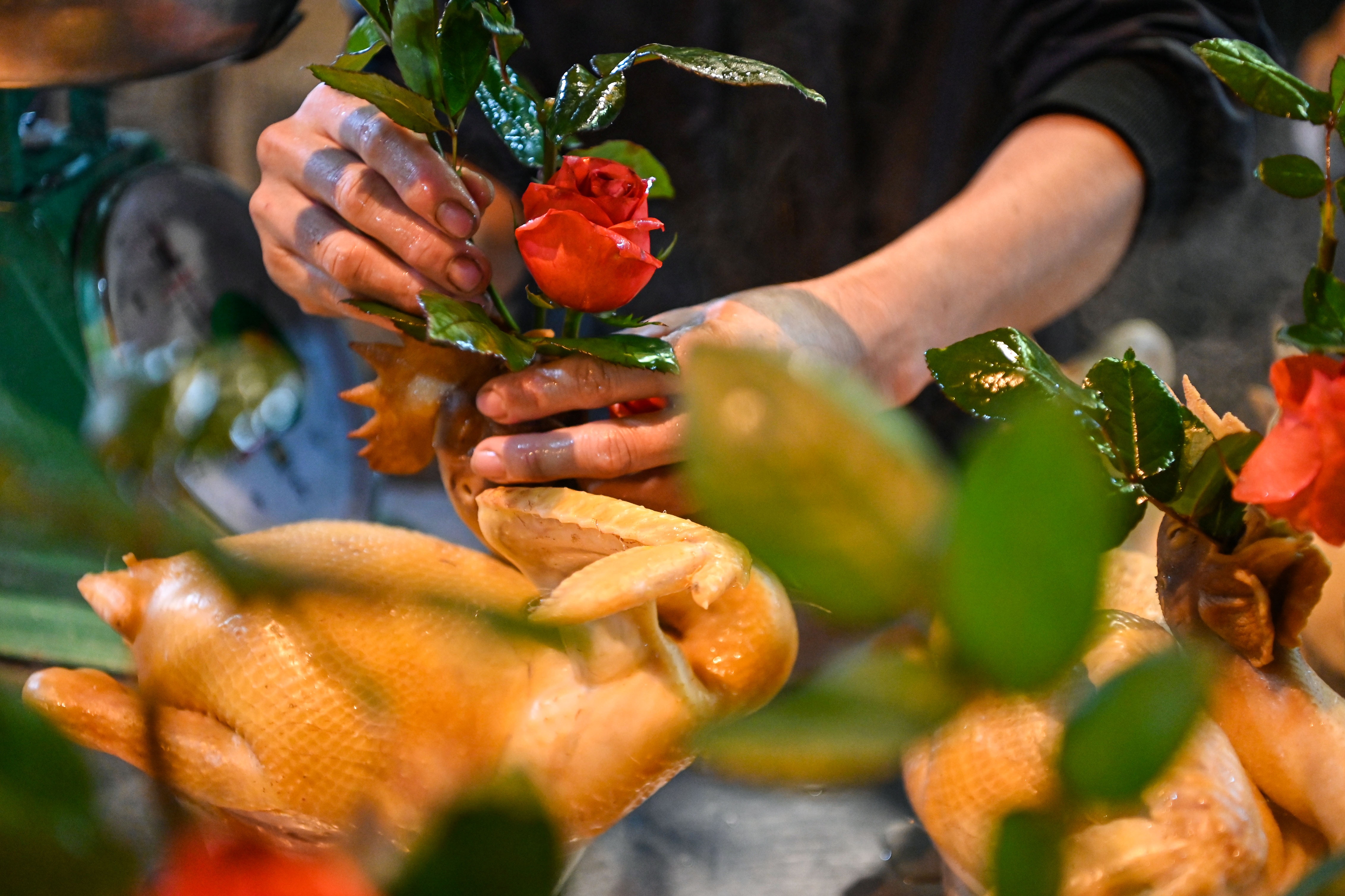 cho tet hang be anh 6