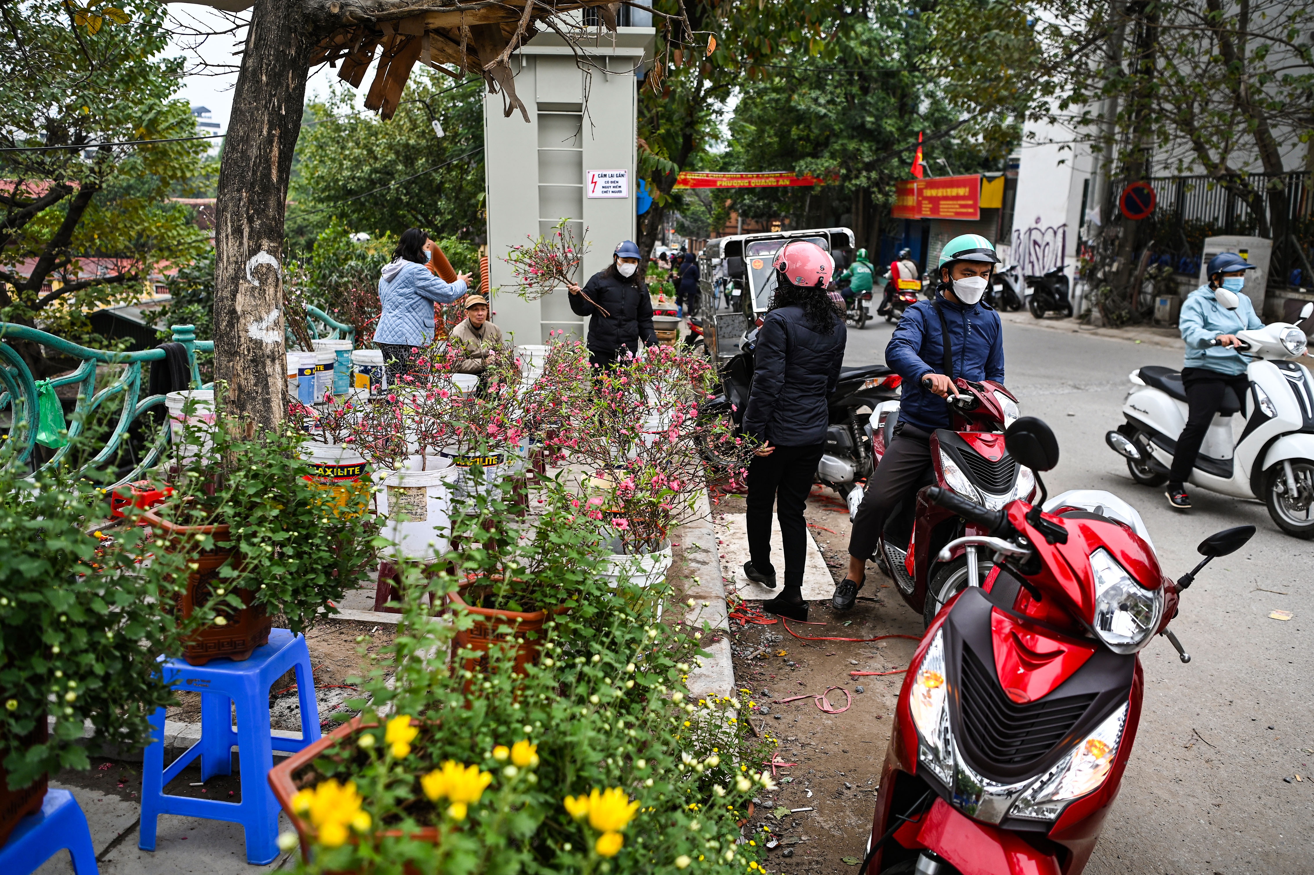 tac duong len cho hoa anh 11