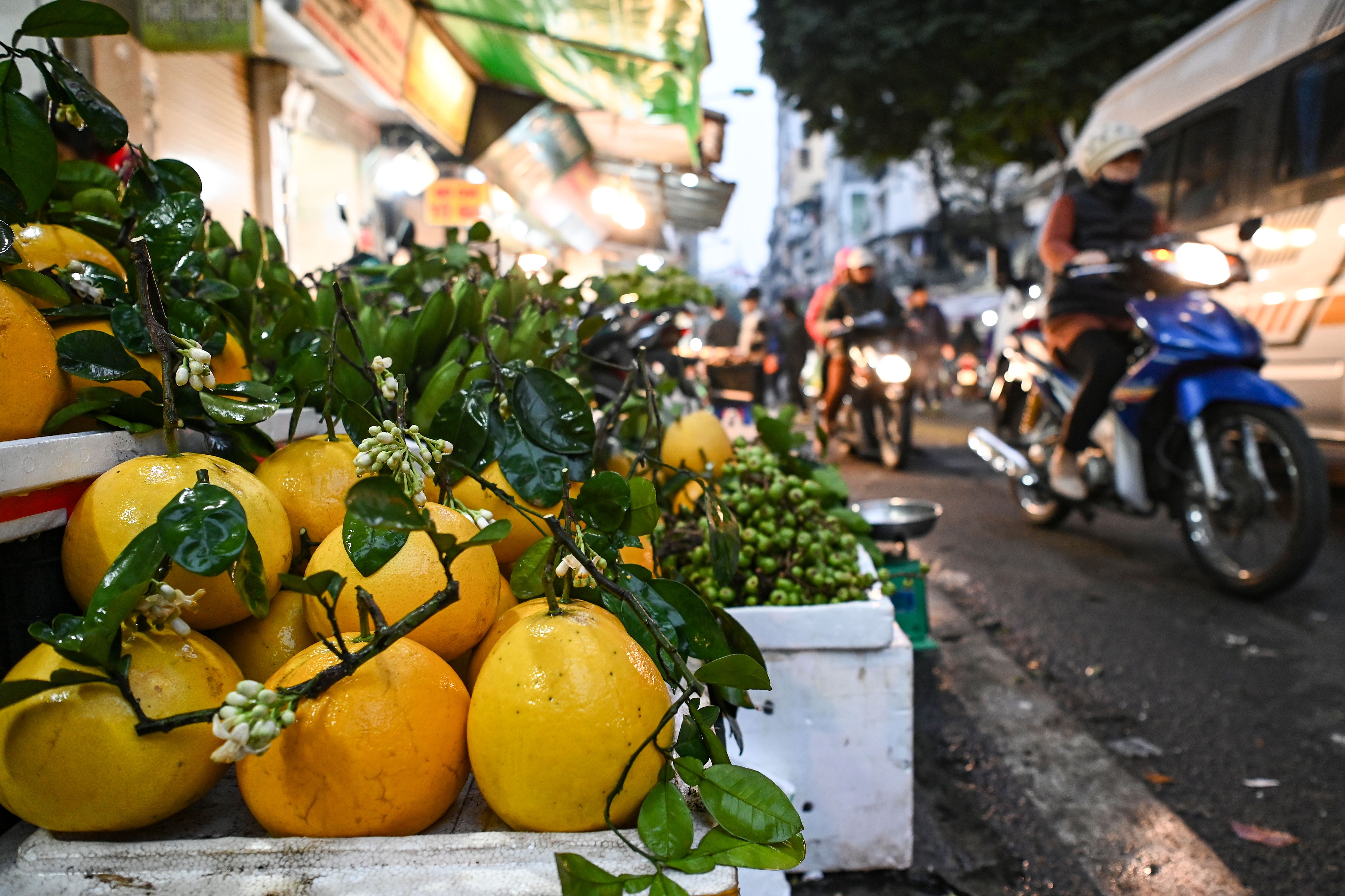 cho tet hang be anh 15