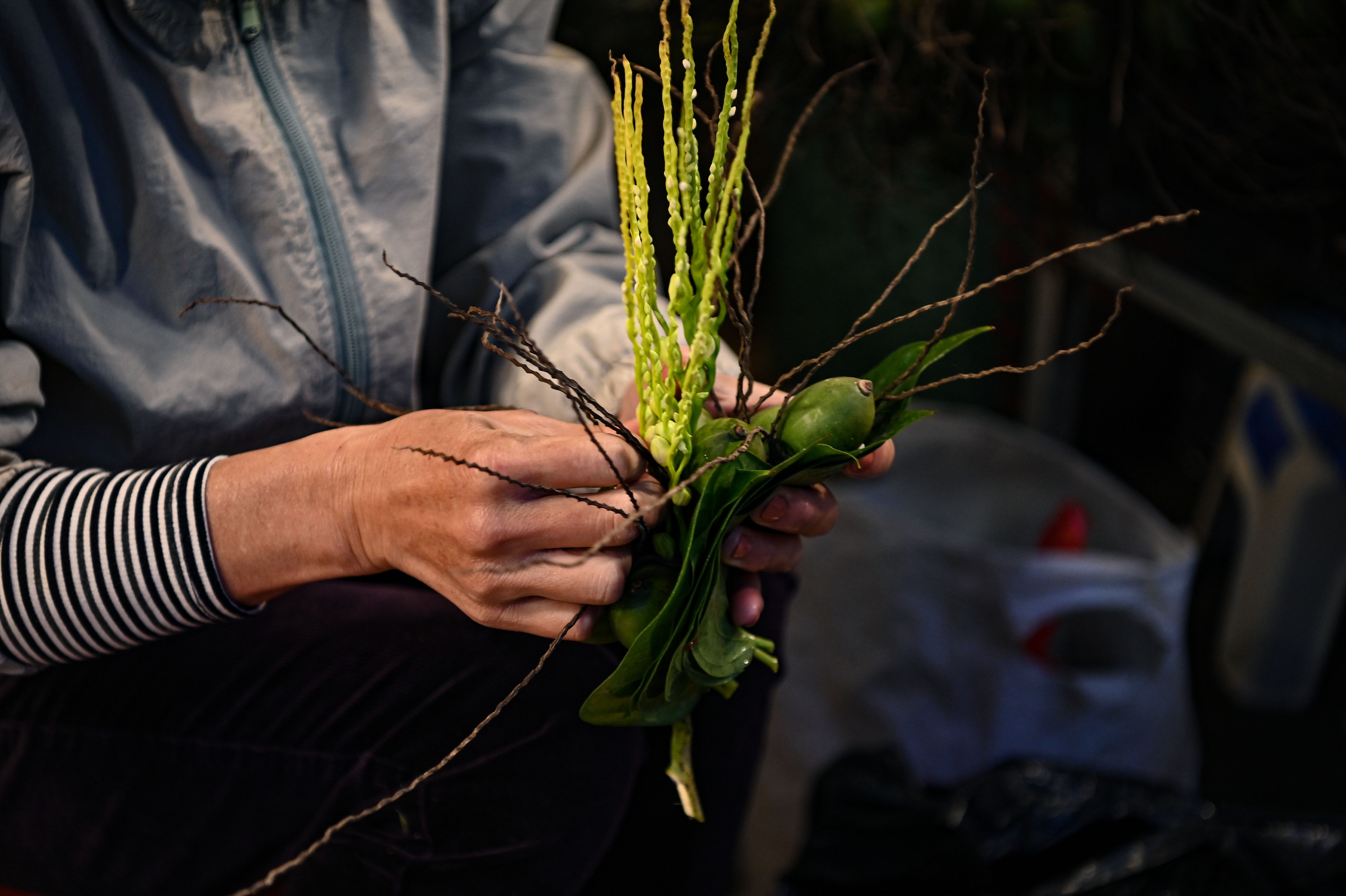 cho tet hang be anh 18