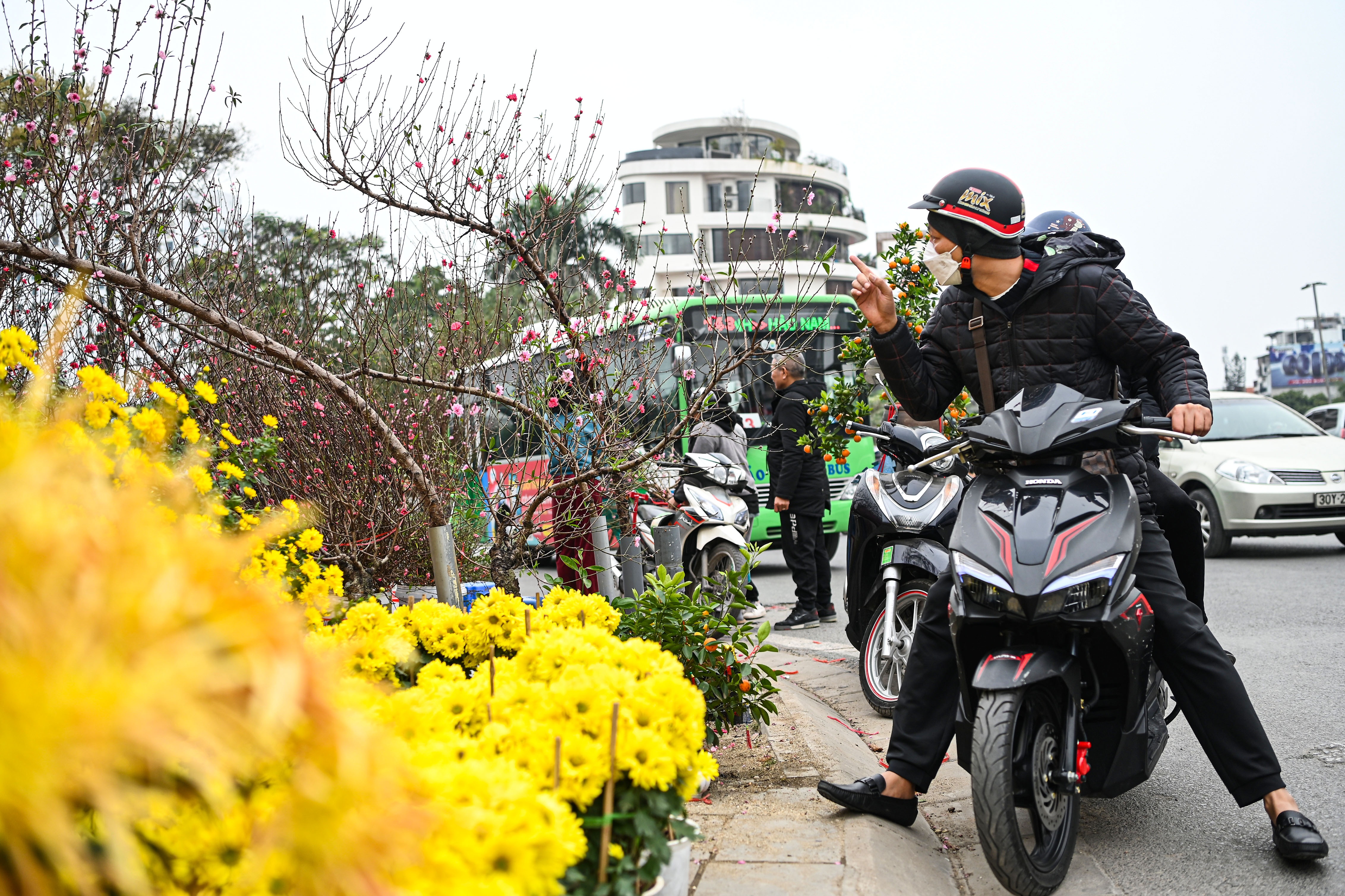 tac duong len cho hoa anh 12