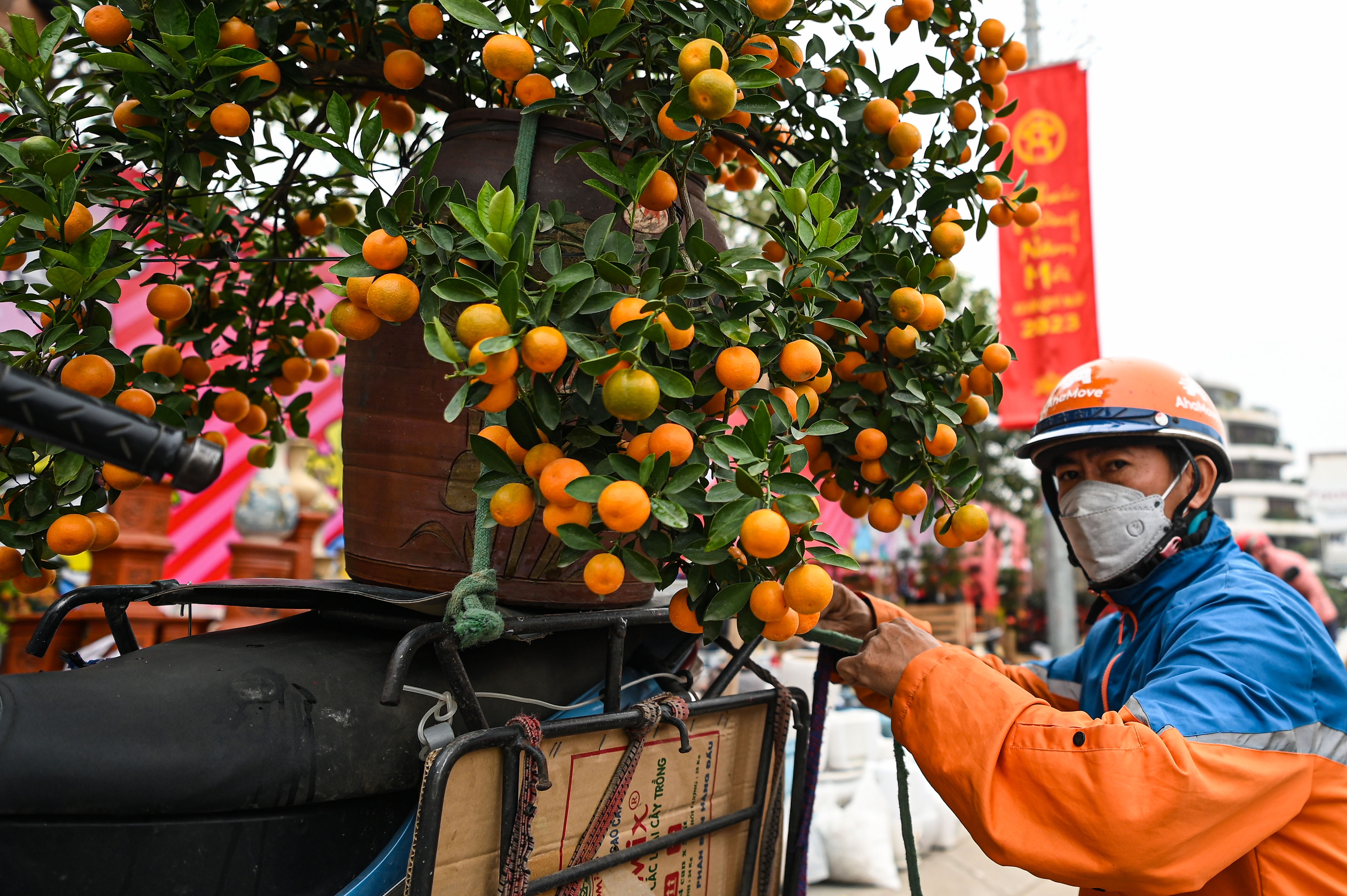 tac duong len cho hoa anh 14