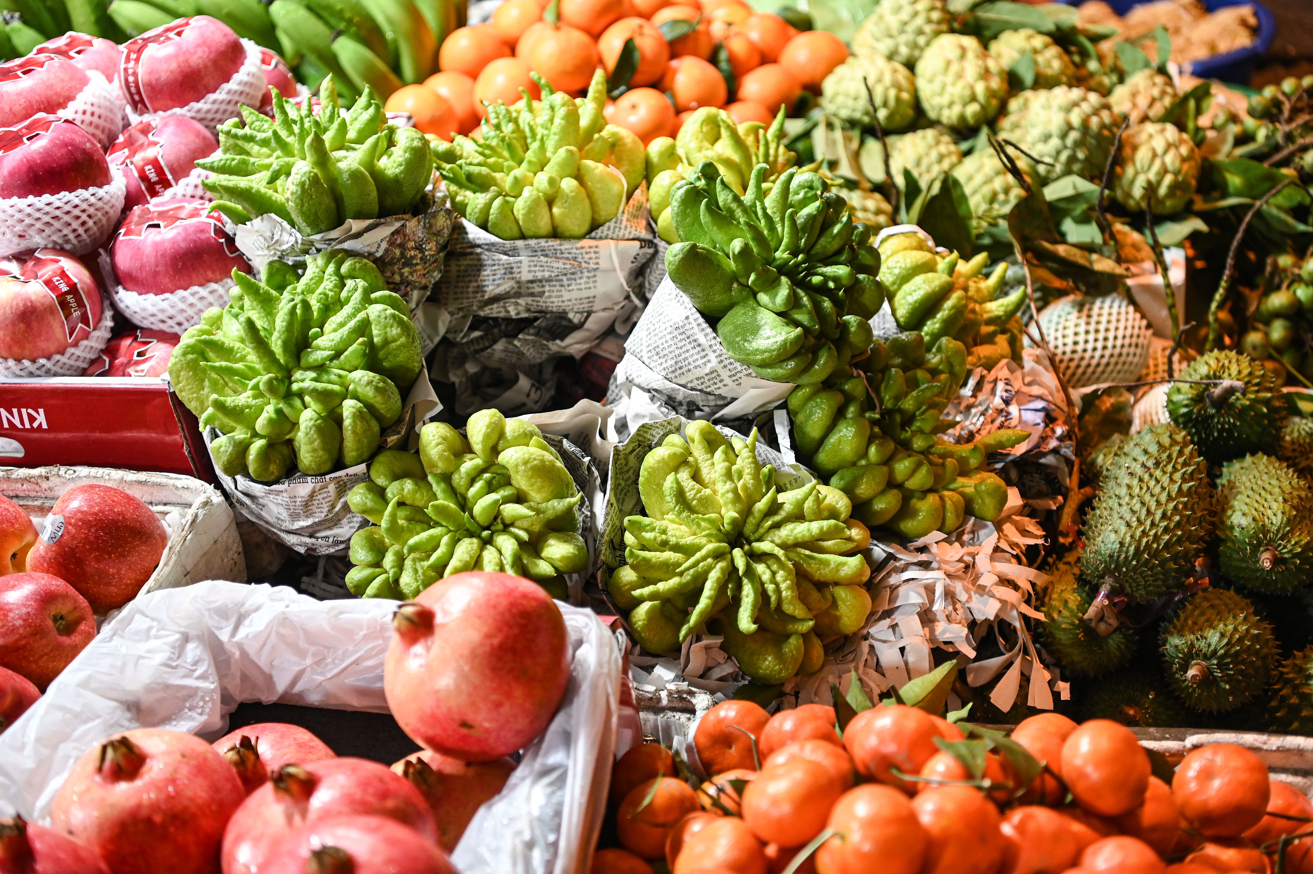 cho tet hang be anh 17