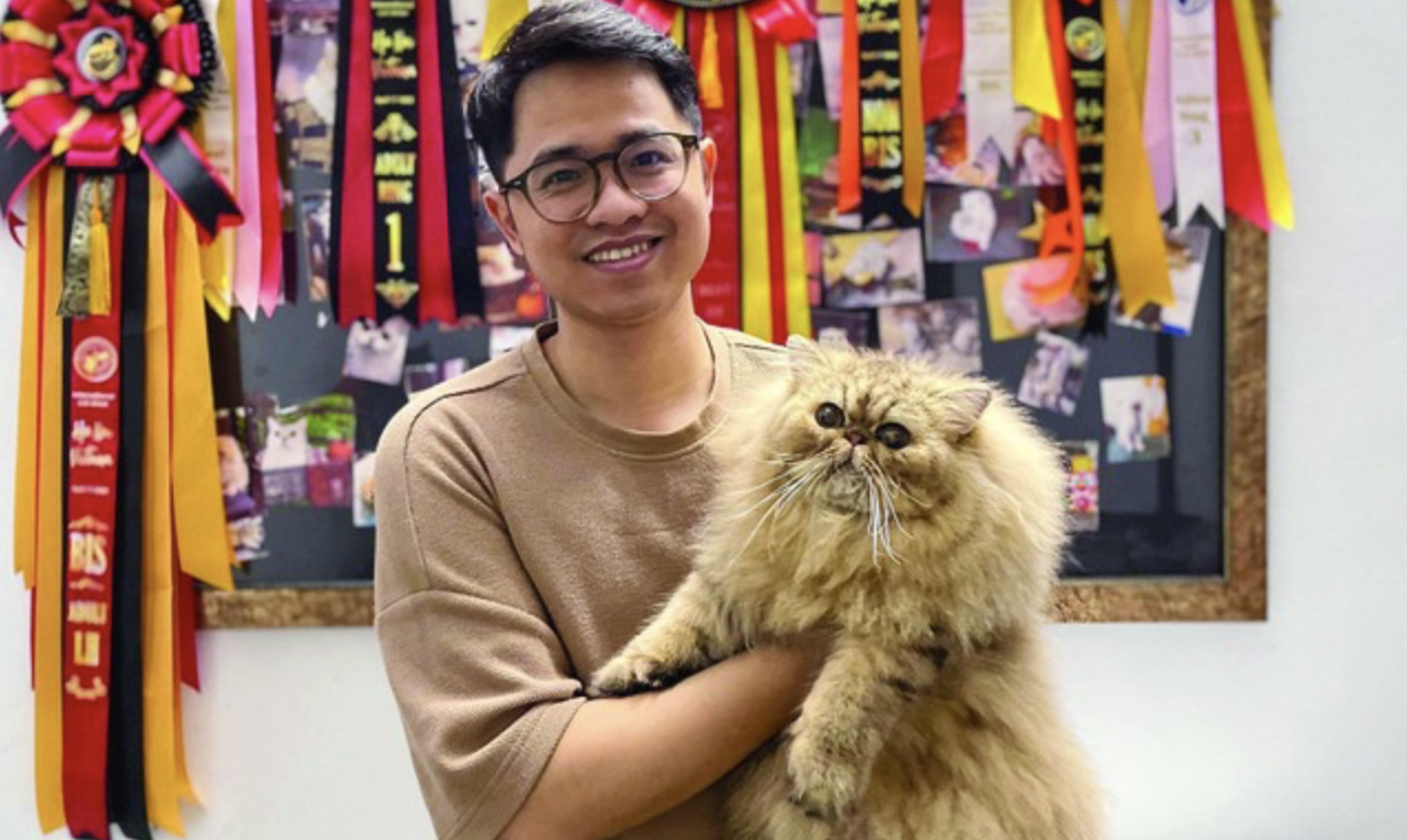 Bi quyet nghe nhan giong meo thuan chung hinh anh