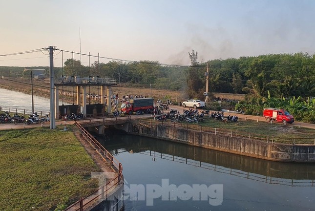 tim thi the mat tich anh 1