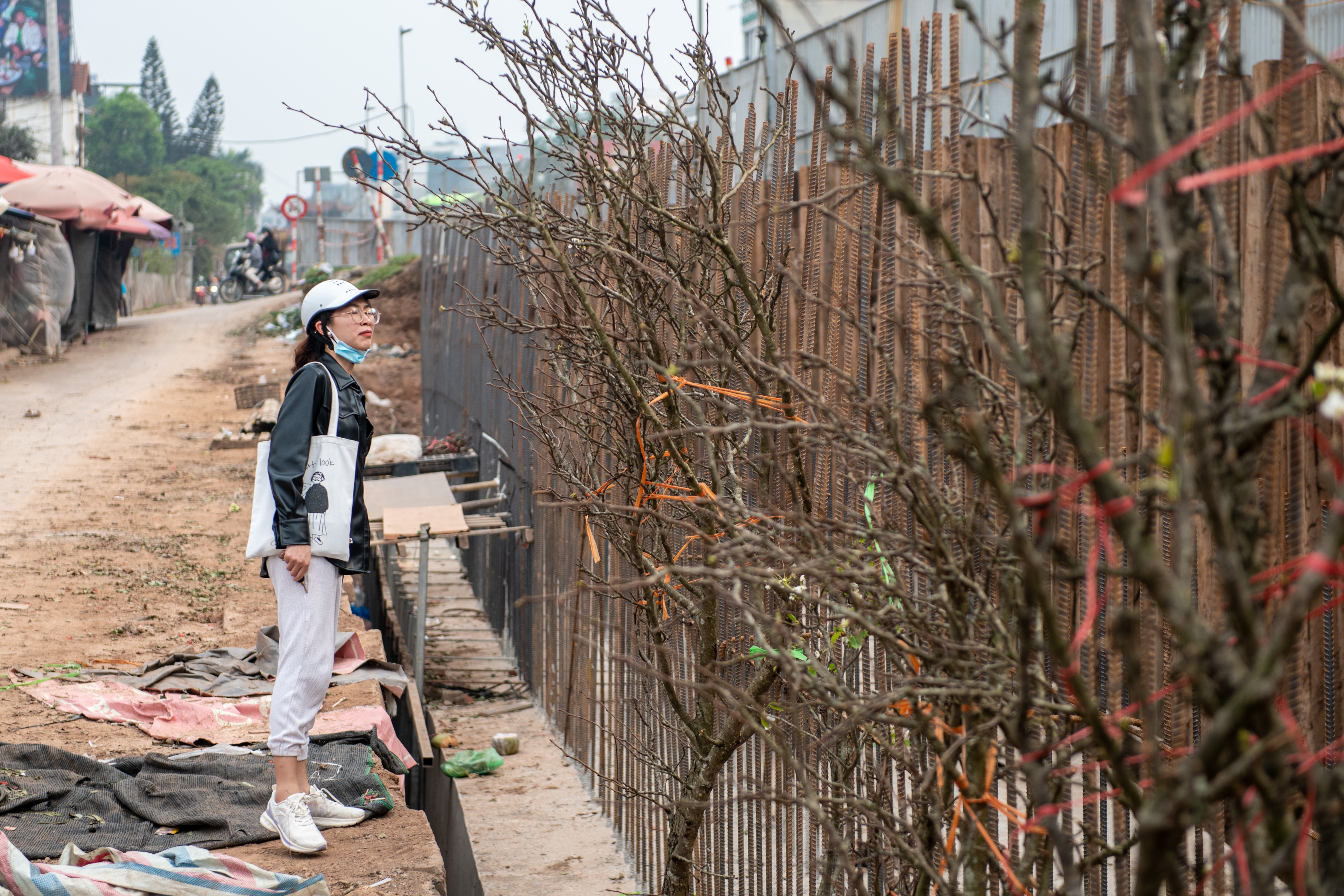 mo rong de au co anh 15