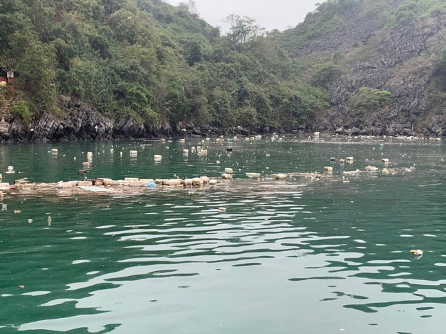 vịnh lan hạ ô nhiễm ảnh 3 vinh lan ha o nhiem anh 3