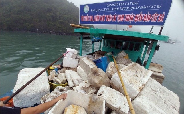 vịnh lan hạ ô nhiễm ảnh 4 vinh lan ha o nhiem anh 4