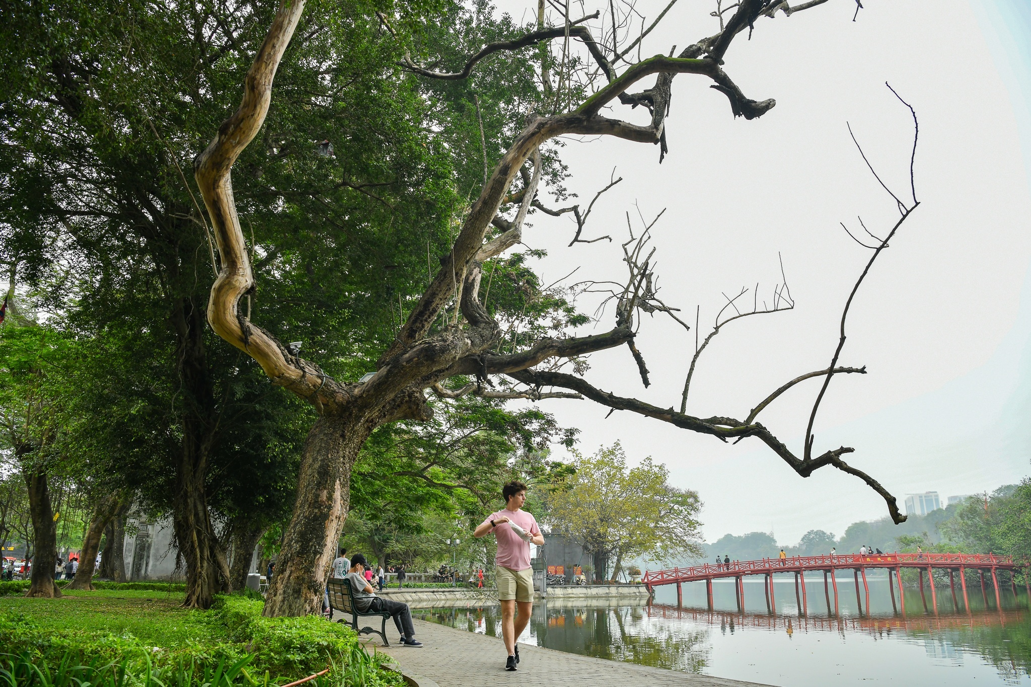 Chat ha 3 cay sua ven ho Guom vao sang 24/5 hinh anh