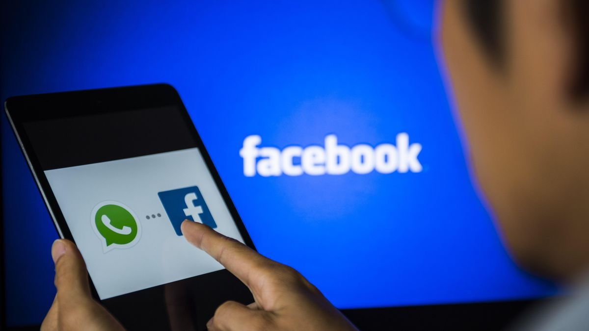 Signal,  WhatsApp,  Facebook anh 2