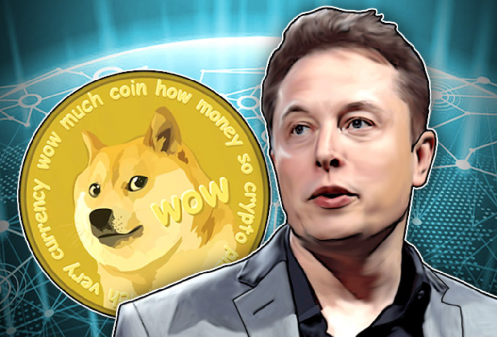 Chan Bitcoin, cac nha dau tu dang theo Elon Musk mua Dogecoin hinh anh