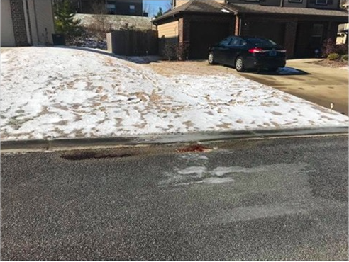 Ung dung thong minh giup tim ra hung thu giet nguoi anh 2