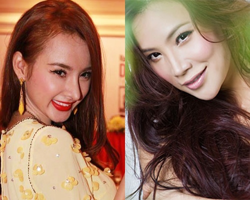 Nhung sao Viet thua nhan tung 'dao keo' hinh anh