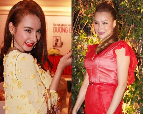 Tuyen bo trai nguoc ve 'dao keo' cua my nhan Viet hinh anh