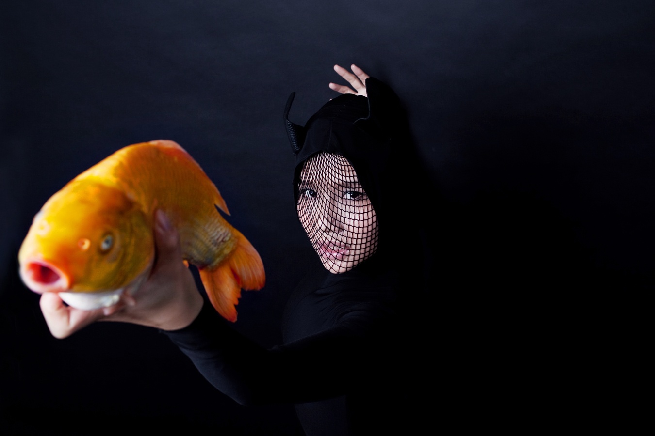 Mai Khoi noi loan voi tao hinh meo hoang hinh anh