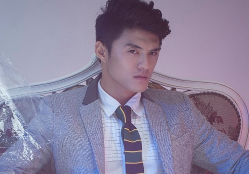 Lam Vinh Hai lanh lung va lang tu hinh anh