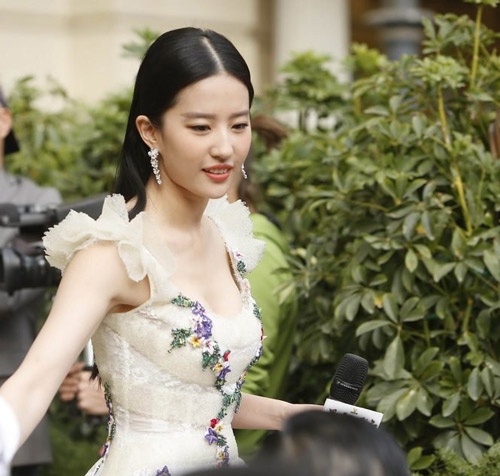 Anh nien thieu 'dat gia' cua sao Hoa ngu hinh anh