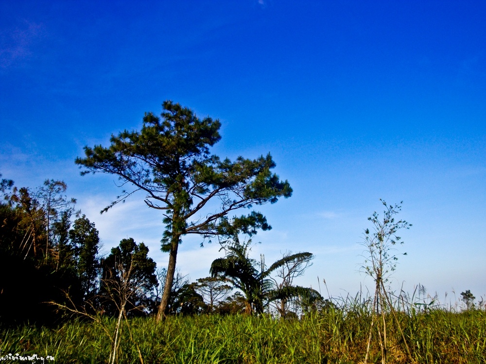 Khung cảnh thiên nhiên xinh đẹp.