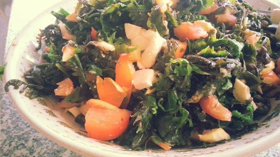 Salad dương sỉ.