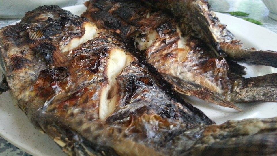 Cá rô phi nướng.