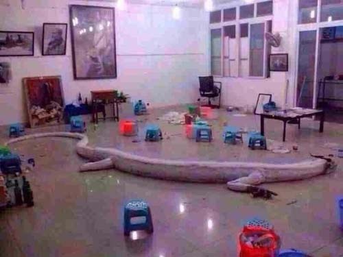 Con trăn trên thực tế chỉ là giả.