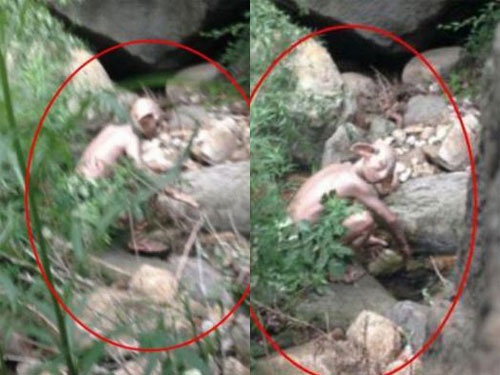 Hình ảnh được cho là 