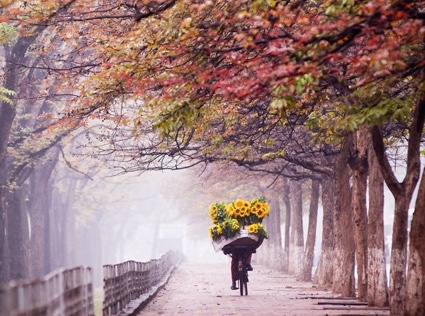 Chot nho mua dong Ha Noi hinh anh