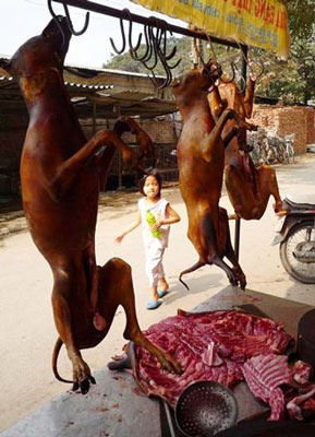 Thịt chó được bày bán ở nhiều nơi.