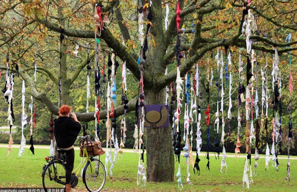  Ngày lễ dành cho các bé gái ở Hà Lan năm 2014 này, các bà mẹ đã rủ nhau treo những món nội y thật đẹp lên một cây cổ thụ.  Hoạt động thú vị này thu hút rất nhiều người đến xem và chụp hình. Ban tổ chức đang tích cực quyên góp thêm nhiều đồ lót nữa để treo lên những cây cổ thụ khác trong công viên.