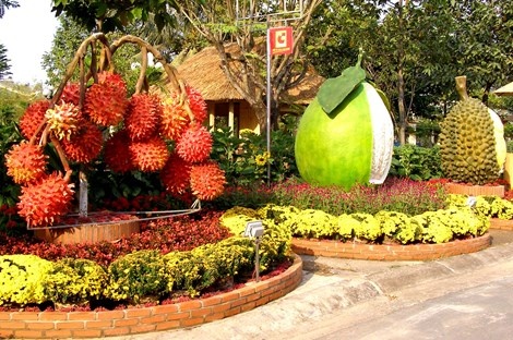 Xem Le hoi duong hoa Tran Bien bang khinh khi cau hinh anh