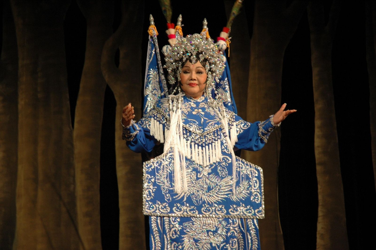 Da co hoai lang - Ngoc Giau hinh anh