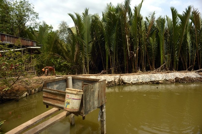 Kiểu nhà vệ sinh tạm bợ tại các vùng quê ở miền Tây.