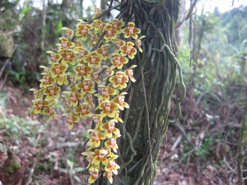 Thu bay cua ban (28/11) hinh anh