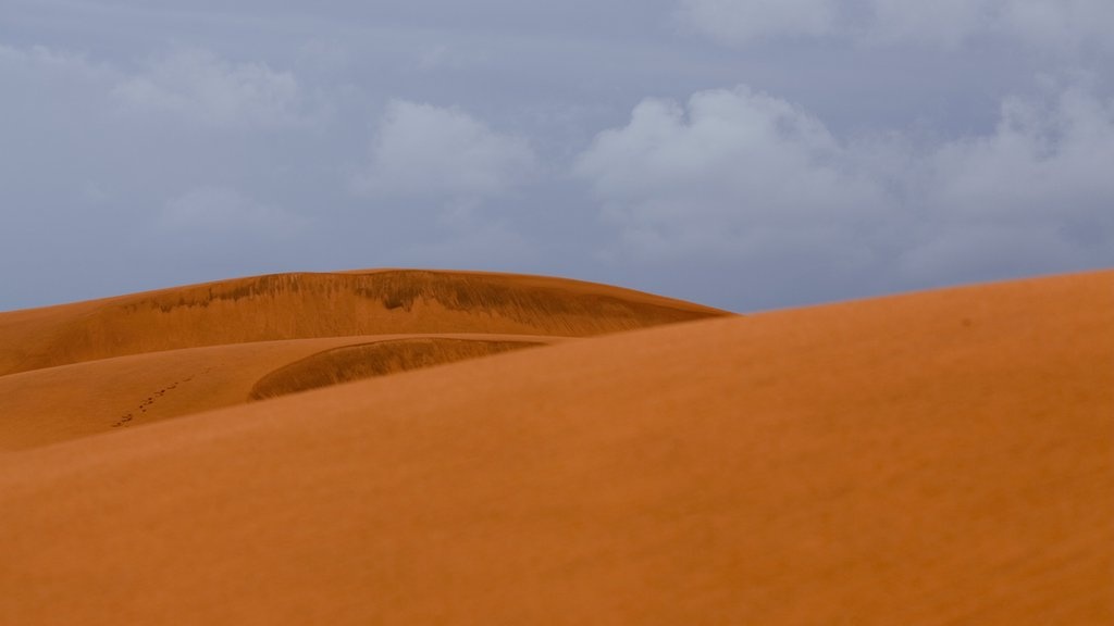 Đồi hồng (Đồi Cát Đỏ) ở Phan Thiết. Ảnh: citypassguide